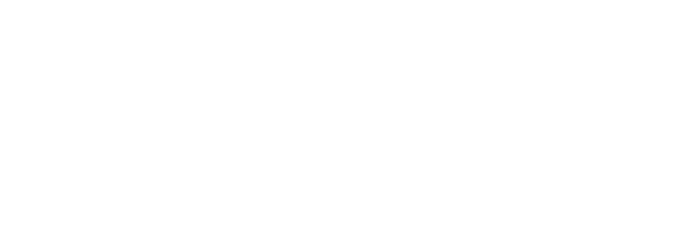 VR HOT official white title logo